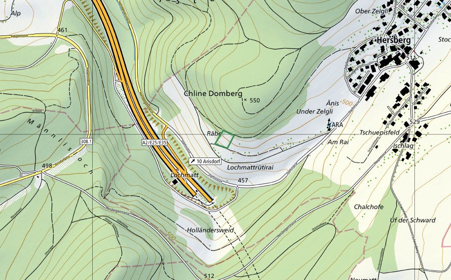 Carte nationale swisstopo avec le périmètre protégé de Reben (Réserve naturelle)