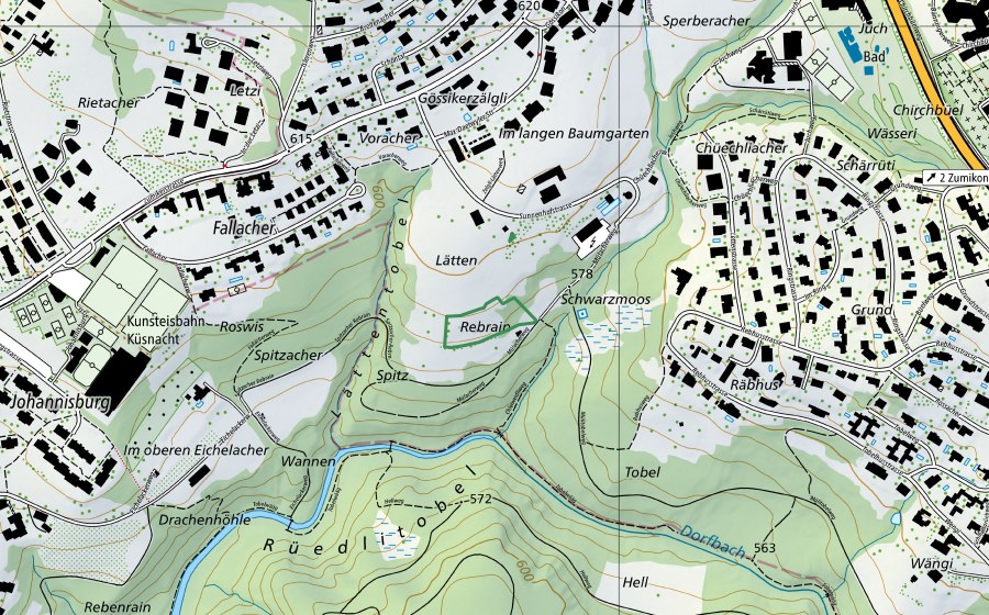 swisstopo national map showing the protected perimeter of Rebrain (Nature reserve)