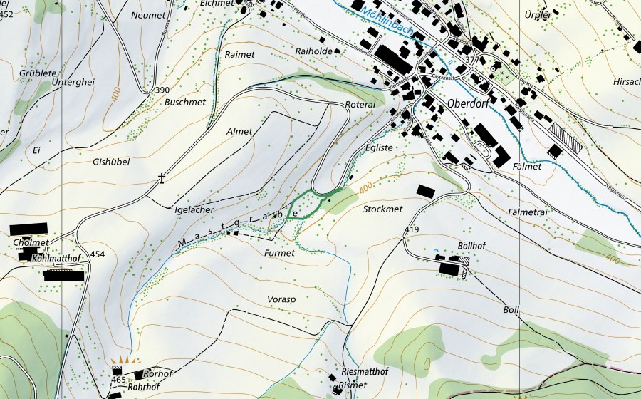 swisstopo national map showing the protected perimeter of Reckendalbach (Nature reserve)