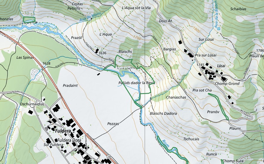 Carte nationale swisstopo avec le périmètre protégé de Resia, Blaischs, Rom + Hecken (Réserve naturelle)