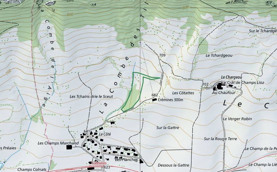 Landeskarte swisstopo mit dem Schutzperimeter von Rière le Sceut (Naturschutzgebiet)