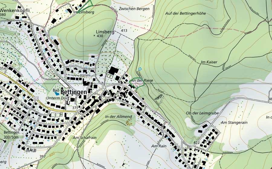 Carte nationale swisstopo avec le périmètre protégé de Riesiwegli (Réserve naturelle)