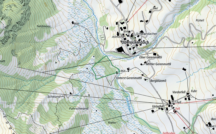 Carte nationale swisstopo avec le périmètre protégé de Rieter bei Oberrickenbach (Réserve naturelle)