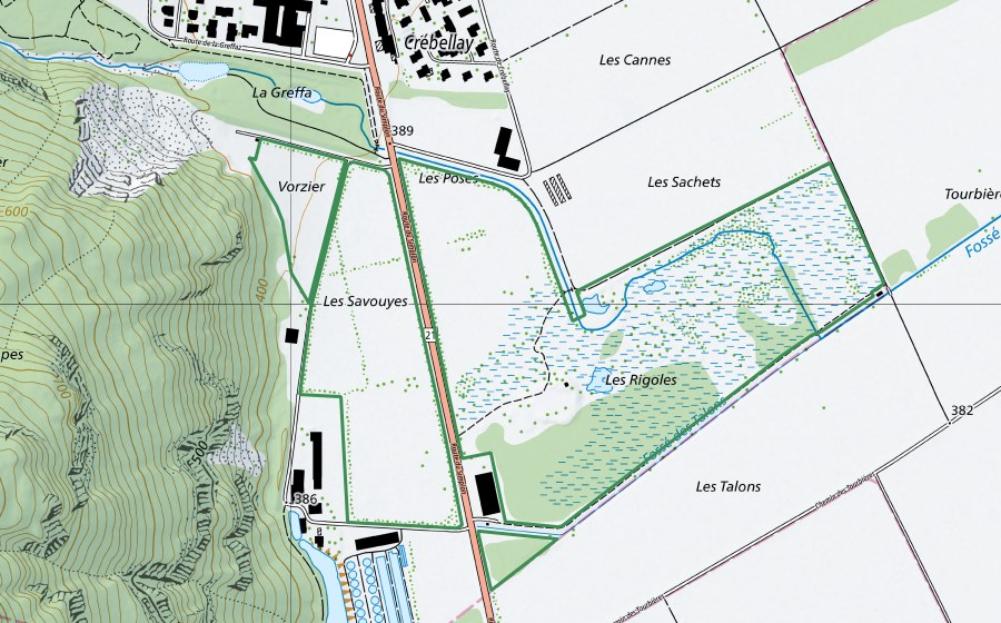 Landeskarte swisstopo mit dem Schutzperimeter von Rigoles de Vionnaz (Naturschutzgebiet)