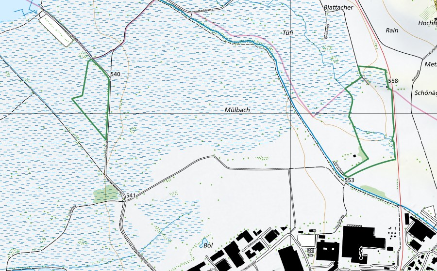 Landeskarte swisstopo mit dem Schutzperimeter von Robenhauserried (Naturschutzgebiet)