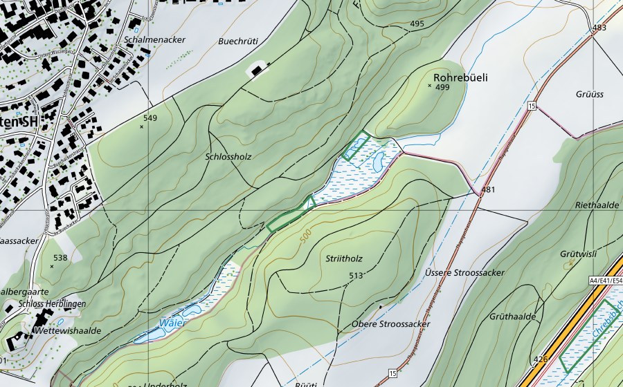 Landeskarte swisstopo mit dem Schutzperimeter von Rohrebüeli-Striitholz (Naturschutzgebiet)