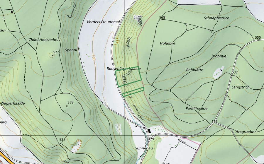 swisstopo national map showing the protected perimeter of ​Roosebärgerhaalde (Nature reserve)
