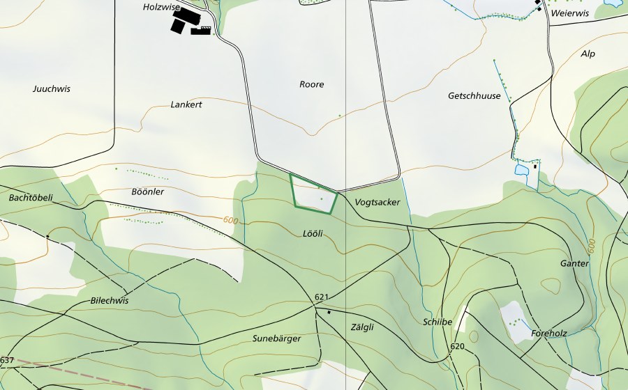 Landeskarte swisstopo mit dem Schutzperimeter von Roren (Naturschutzgebiet)