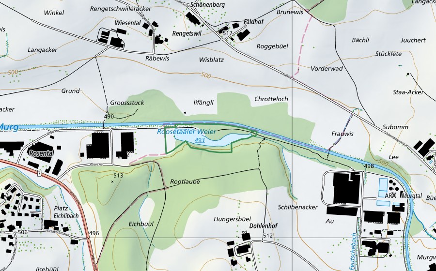 swisstopo national map showing the protected perimeter of Rosentalerweiher (Nature reserve)