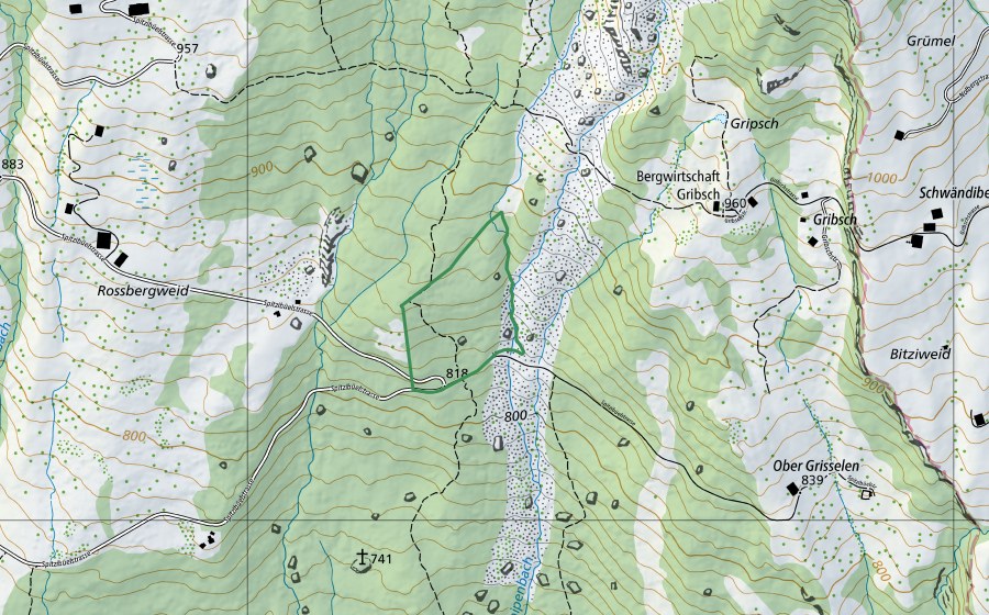 Landeskarte swisstopo mit dem Schutzperimeter von Rossberg (Naturschutzgebiet)