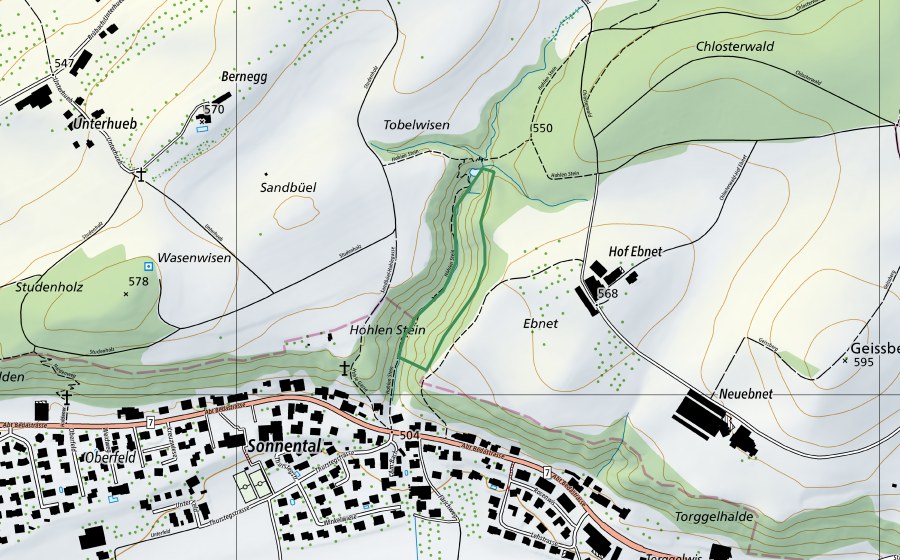 Carte nationale swisstopo avec le périmètre protégé de Rossfallen (Réserve naturelle)