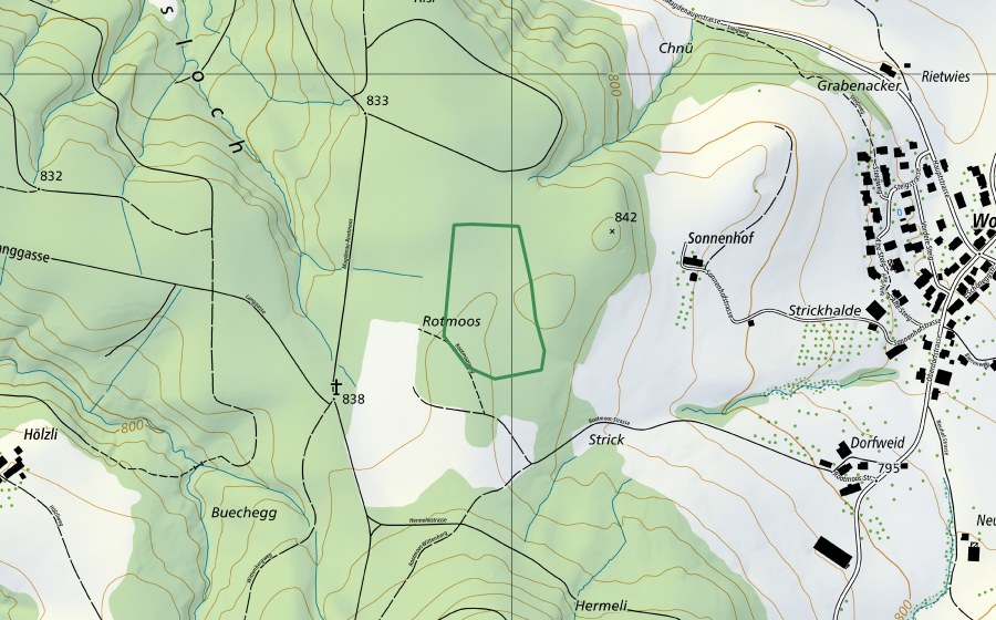 swisstopo national map showing the protected perimeter of Rotmoos (Nature reserve)