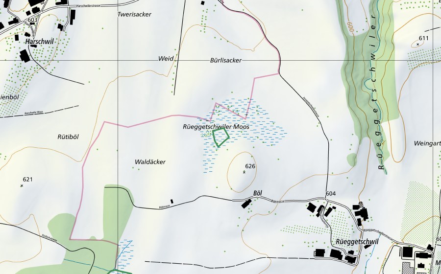 Landeskarte swisstopo mit dem Schutzperimeter von Rüeggetschwiler Moos (Naturschutzgebiet)