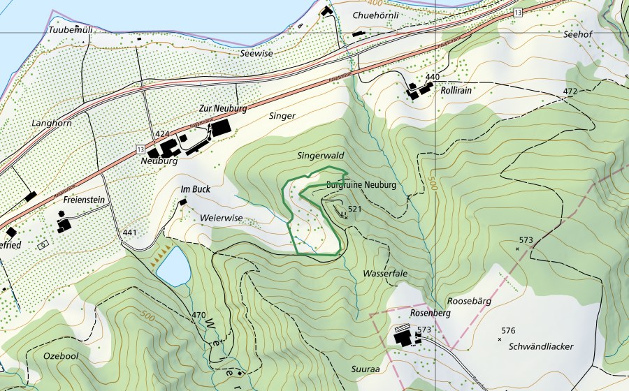 Carte nationale swisstopo avec le périmètre protégé de Ruine Neuburg (Réserve naturelle)