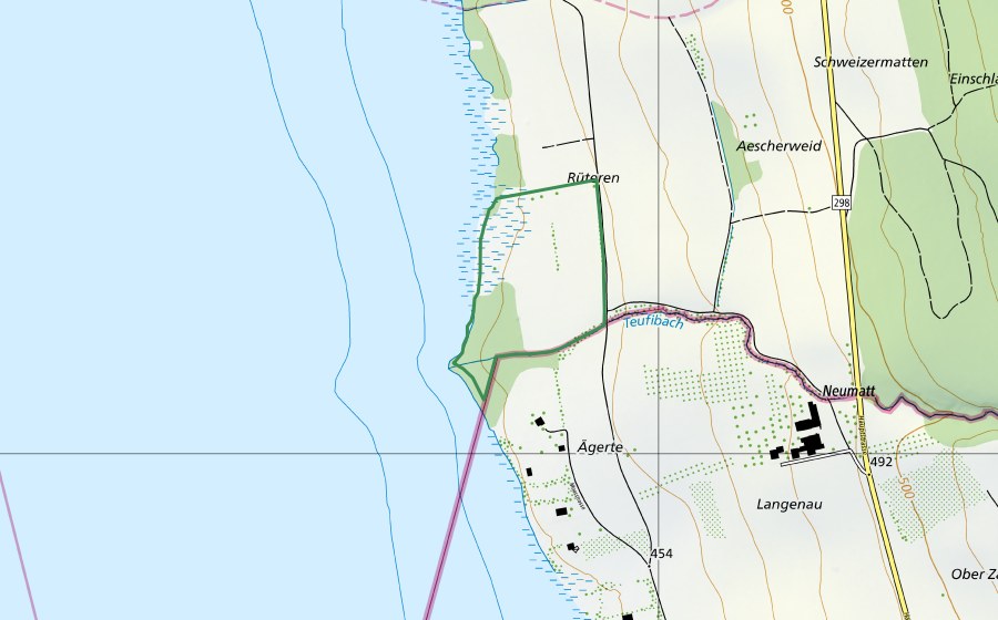 swisstopo national map showing the protected perimeter of Rüteren (Nature reserve)