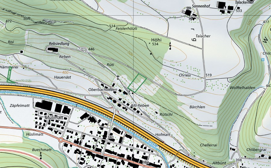 Landeskarte swisstopo mit dem Schutzperimeter von Rüti (Naturschutzgebiet)