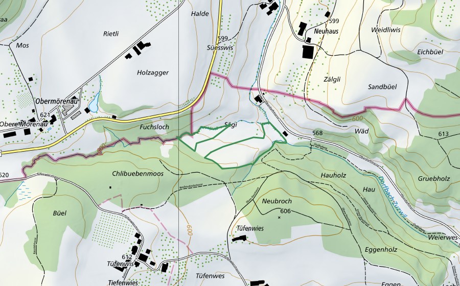 Carte nationale swisstopo avec le périmètre protégé de Säge, Zuzwil (Réserve naturelle)