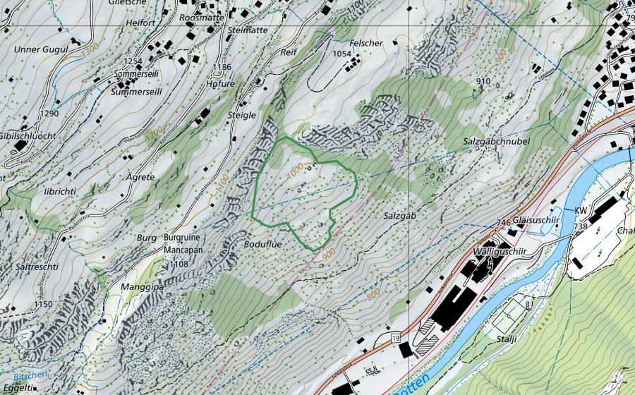Carte nationale swisstopo avec le périmètre protégé de Salzgäb (Réserve naturelle)