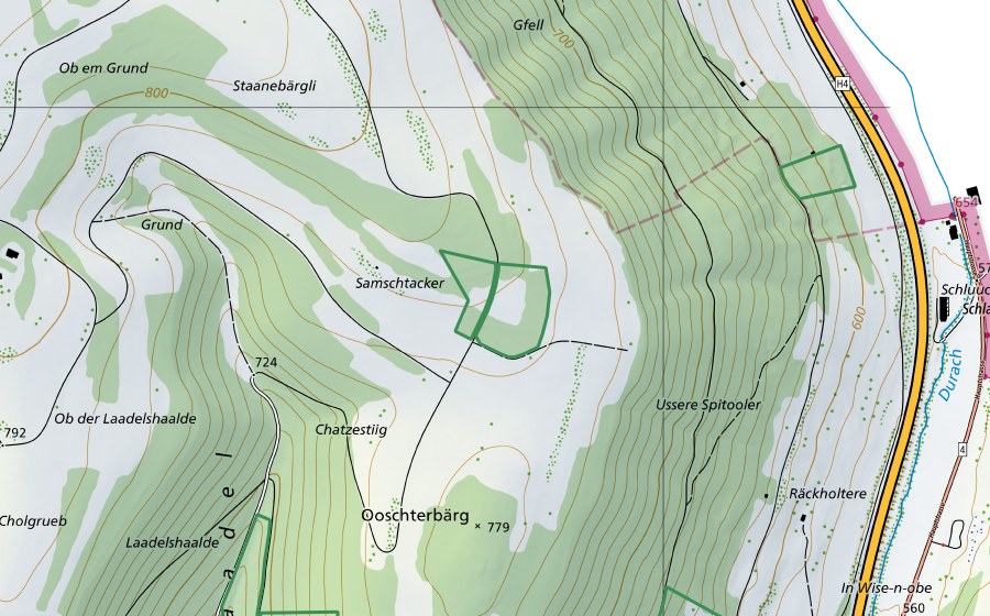 swisstopo national map showing the protected perimeter of Samschtacker (Nature reserve)