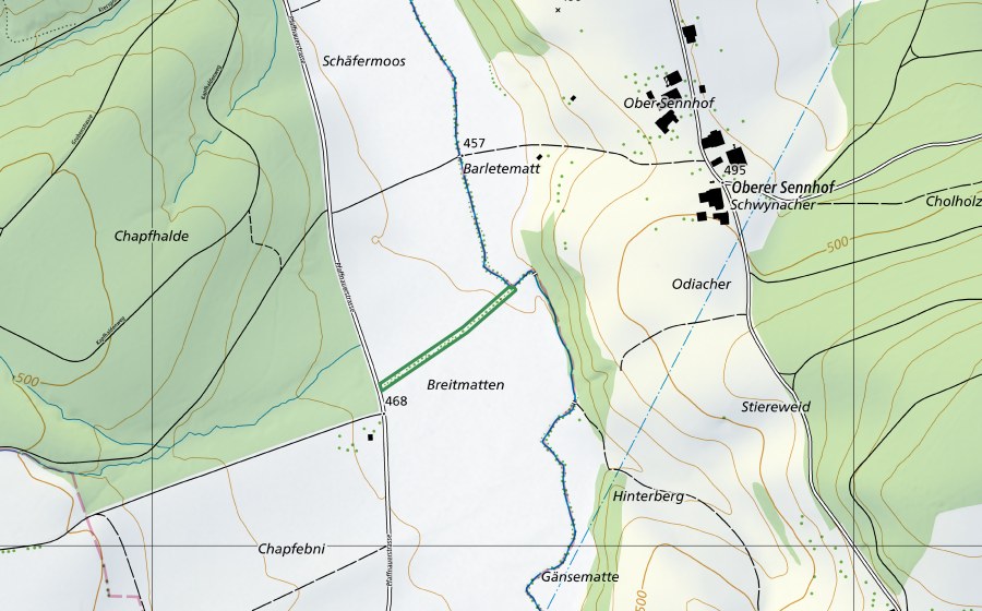 Landeskarte swisstopo mit dem Schutzperimeter von Schafmoos (Naturschutzgebiet)