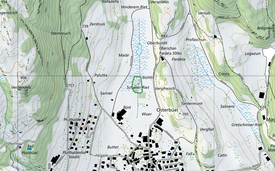 Landeskarte swisstopo mit dem Schutzperimeter von Schaner Riet (Naturschutzgebiet)