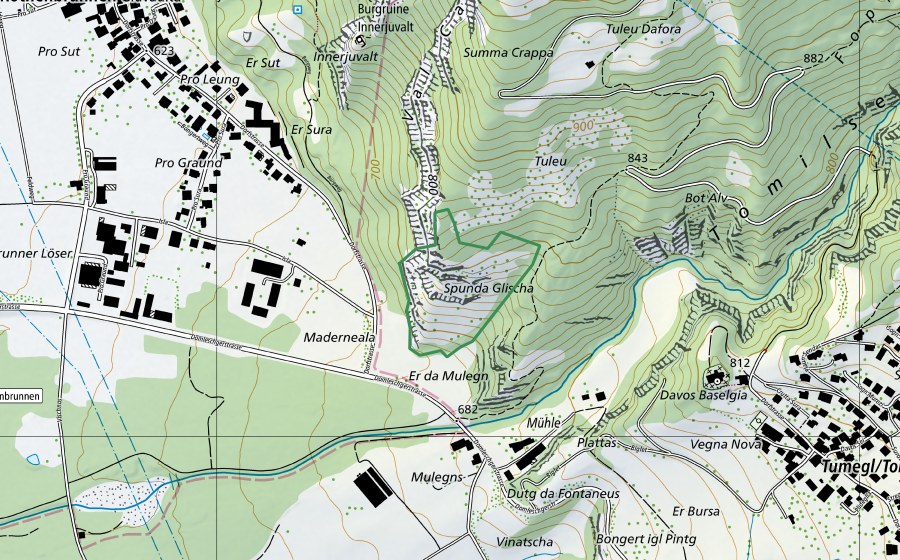 swisstopo national map showing the protected perimeter of Scheidhalde (Nature reserve)