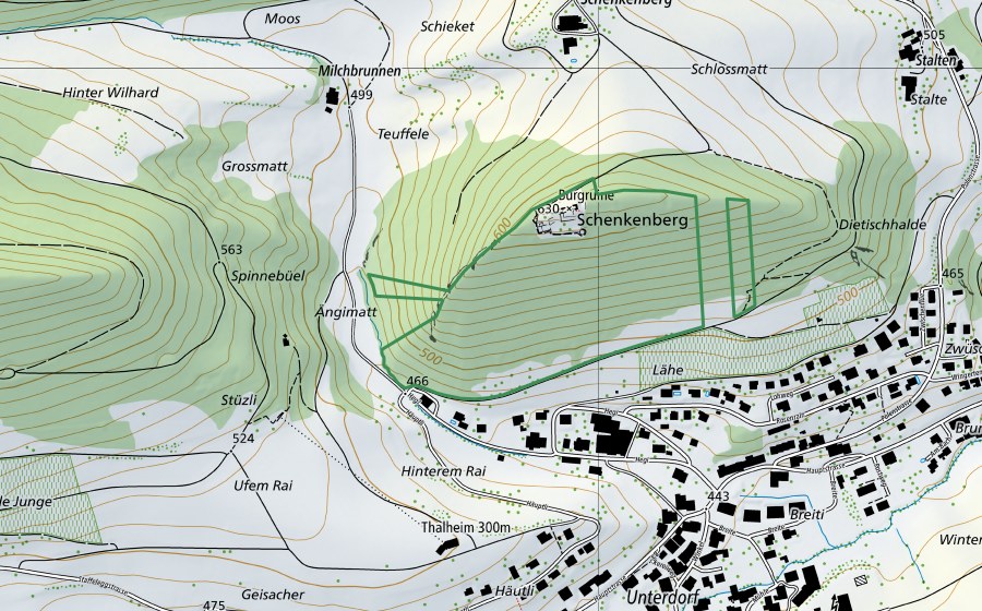 Landeskarte swisstopo mit dem Schutzperimeter von Schenkenberg (Naturschutzgebiet)