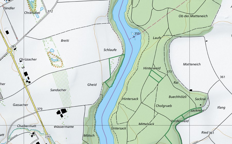 Landeskarte swisstopo mit dem Schutzperimeter von Schlaufe (Naturschutzgebiet)
