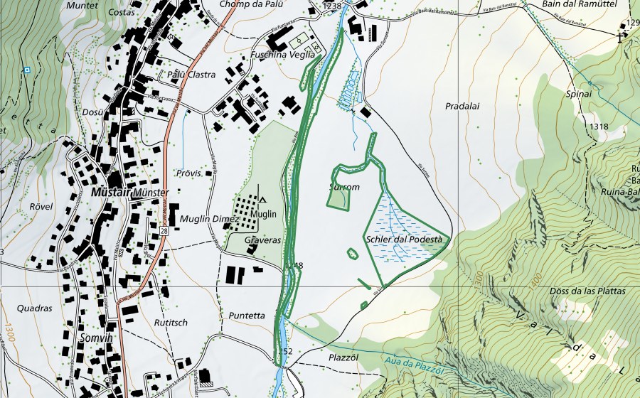 Carte nationale swisstopo avec le périmètre protégé de Schler dal Podestà + Romauen (Réserve naturelle)