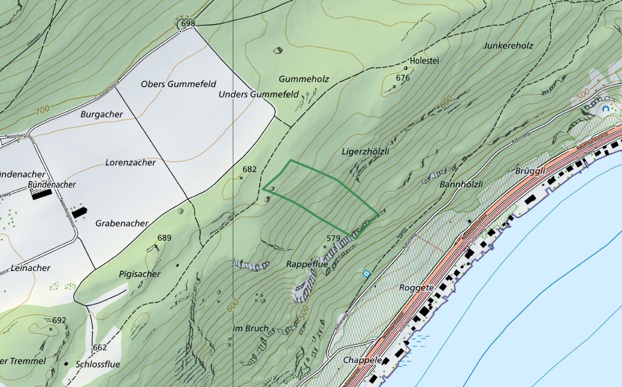 swisstopo national map showing the protected perimeter of Schlossflue (Nature reserve)