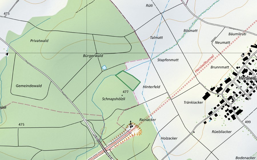 Landeskarte swisstopo mit dem Schutzperimeter von Schnapshölzli (Naturschutzgebiet)