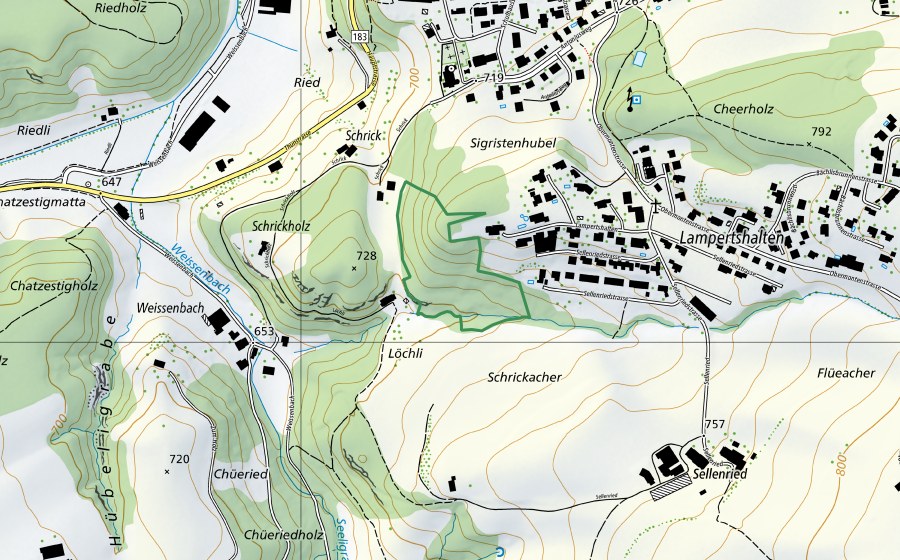 Carta nazionale swisstopo con il perimetro protetto di Schrickholz (Riserva naturale)