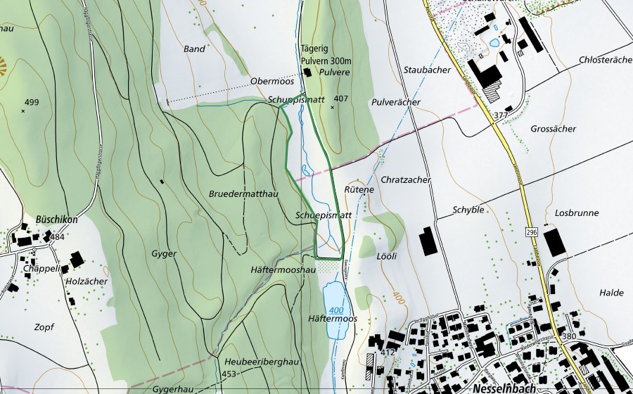 swisstopo national map showing the protected perimeter of Schuepismatt (Nature reserve)