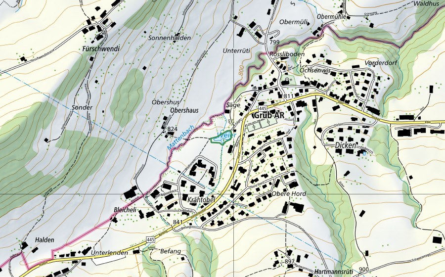 Carte nationale swisstopo avec le périmètre protégé de Schulweiher (Réserve naturelle)