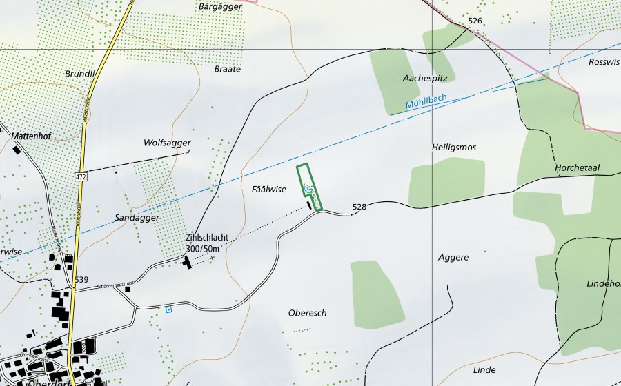 swisstopo national map showing the protected perimeter of Schützenweiher (Nature reserve)