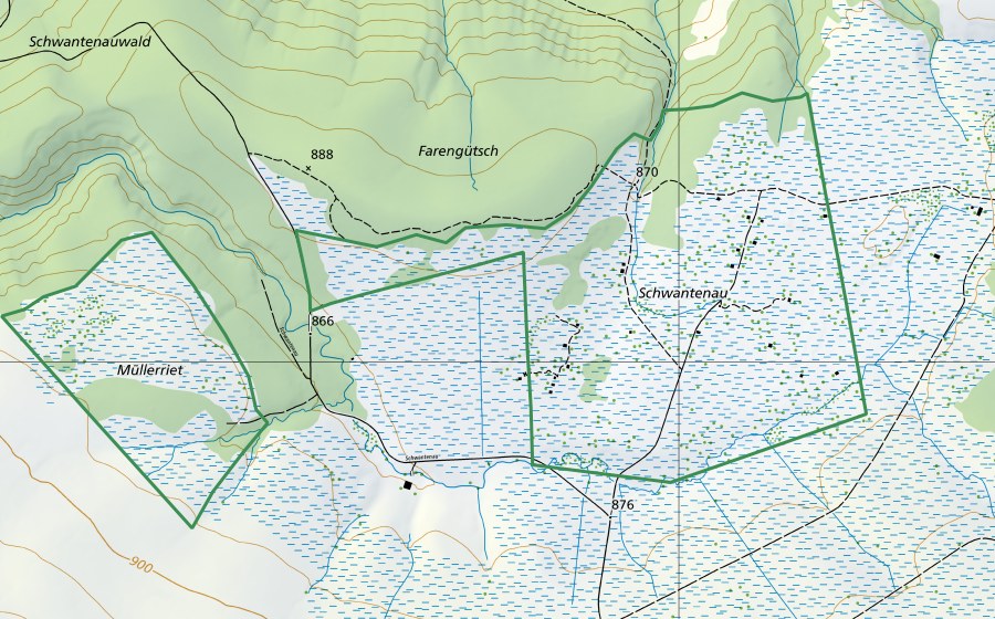 Landeskarte swisstopo mit dem Schutzperimeter von Schwantenau (Naturschutzgebiet)