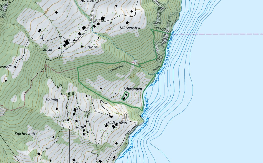 swisstopo national map showing the protected perimeter of Schwäntlen (Nature reserve)