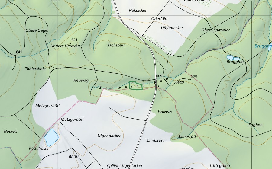 swisstopo national map showing the protected perimeter of Schwarzegrabe (Nature reserve)