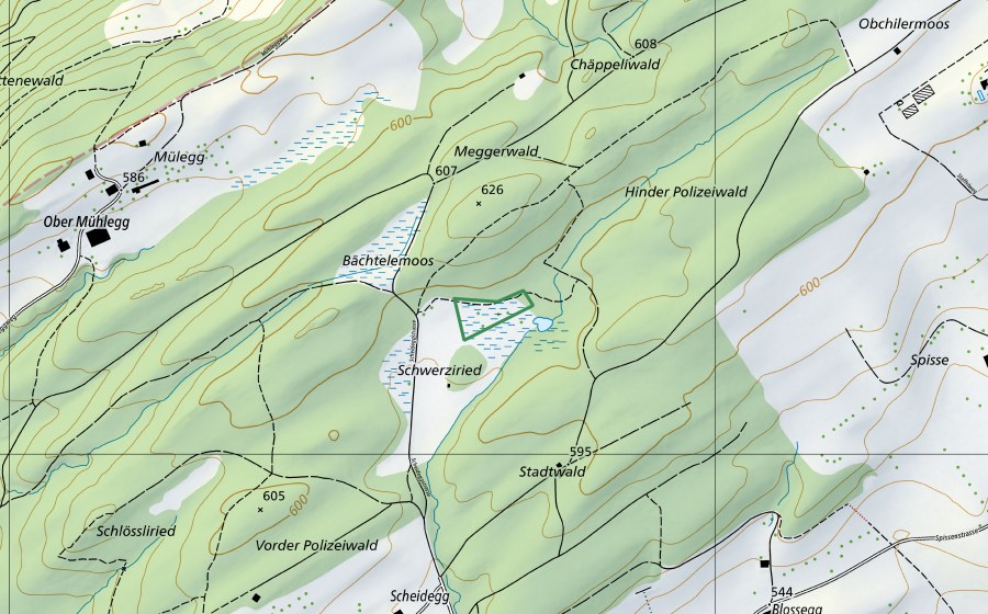 Carte nationale swisstopo avec le périmètre protégé de Schwerziried (Réserve naturelle)