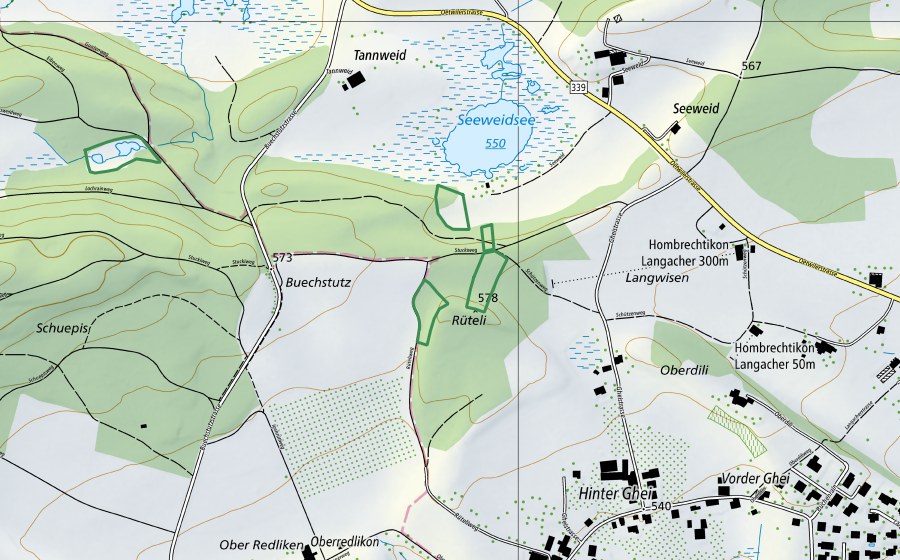 Landeskarte swisstopo mit dem Schutzperimeter von Seeweid (Naturschutzgebiet)