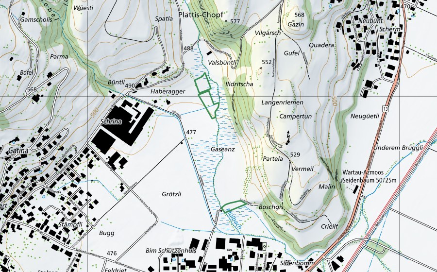 Landeskarte swisstopo mit dem Schutzperimeter von Seidenbaum / Bleiche (Naturschutzgebiet)