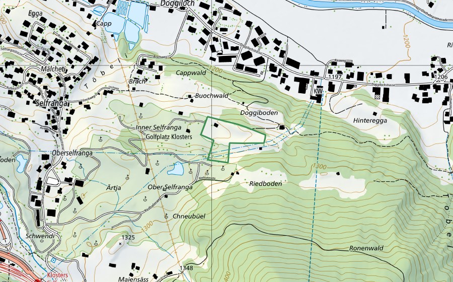 Landeskarte swisstopo mit dem Schutzperimeter von Selfranga (Naturschutzgebiet)