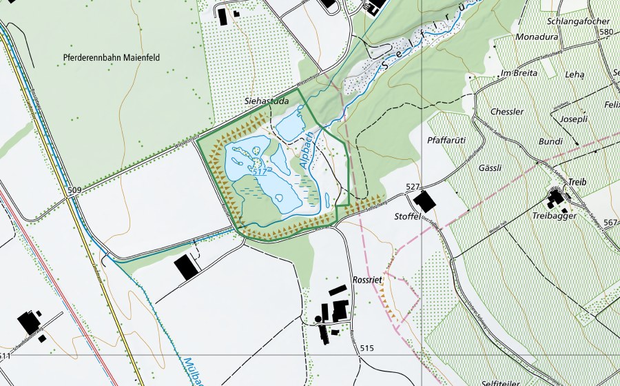 swisstopo national map showing the protected perimeter of Siechenstuden (Nature reserve)