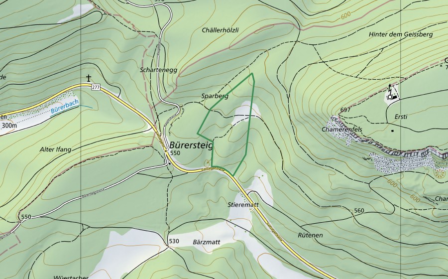 Carta nazionale swisstopo con il perimetro protetto di Sparberg (Riserva naturale)