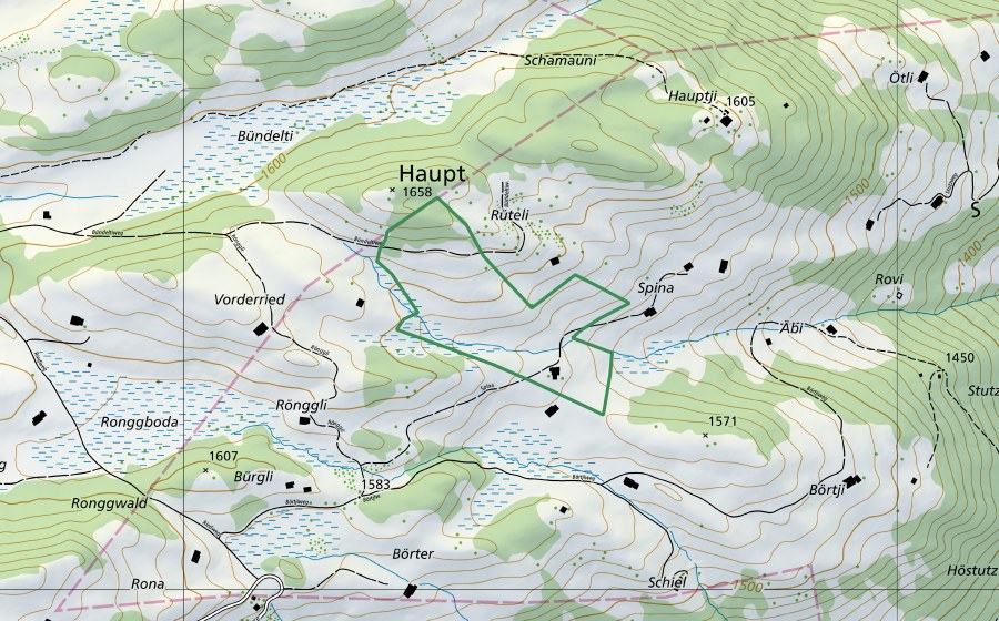 Carte nationale swisstopo avec le périmètre protégé de Spina (Réserve naturelle)