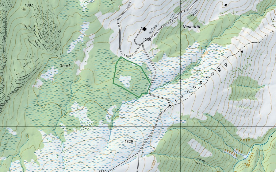 Carte nationale swisstopo avec le périmètre protégé de Stächeleggmoos (Réserve naturelle)