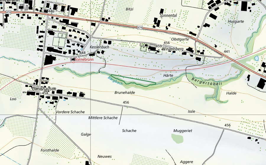 Carte nationale swisstopo avec le périmètre protégé de Steinbrunn - Bärgbach (Réserve naturelle)