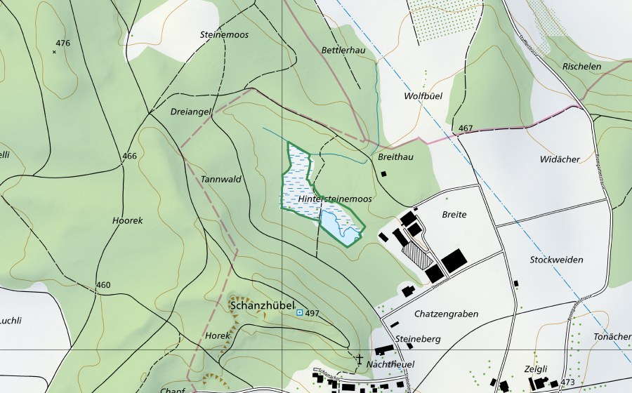Landeskarte swisstopo mit dem Schutzperimeter von Steinenmoos (Naturschutzgebiet)