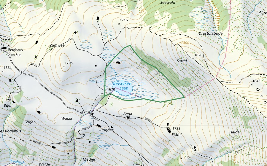 Carta nazionale swisstopo con il perimetro protetto di Stelsersee (Riserva naturale)