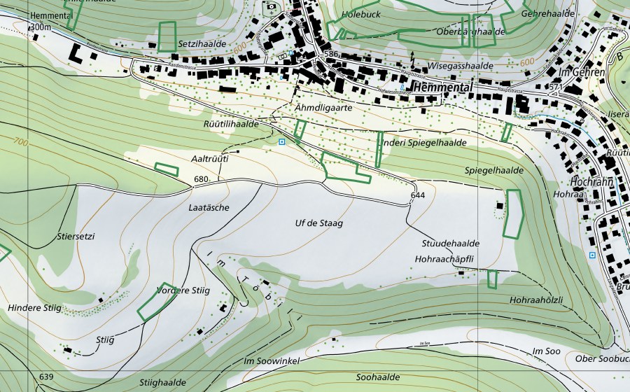 Landeskarte swisstopo mit dem Schutzperimeter von Stiersetzi-Rüüti (Naturschutzgebiet)